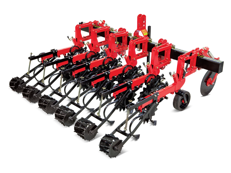 Inter Row Hoeing Machine With Spring Tines